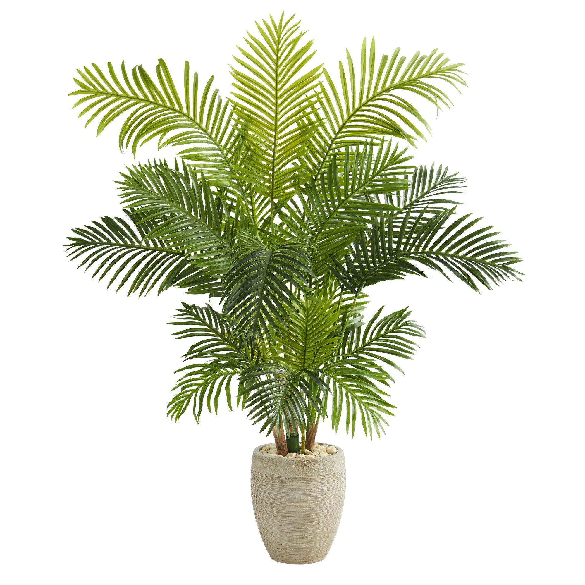 62” Hawaii Palm Artificial Tree in Sand Colored Planter