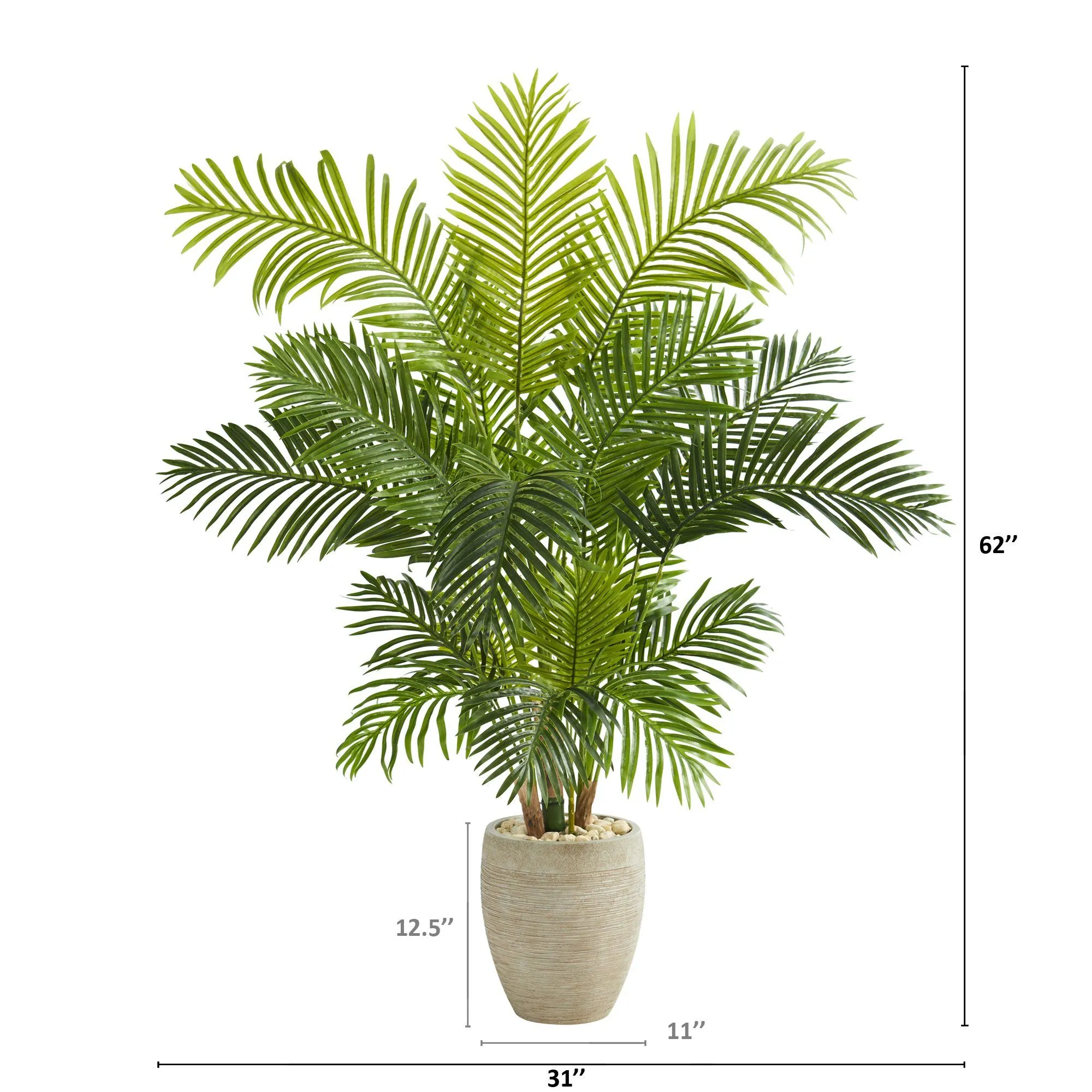 62” Hawaii Palm Artificial Tree in Sand Colored Planter