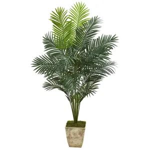 64” Paradise Palm Artificial Plant in Country White Planter