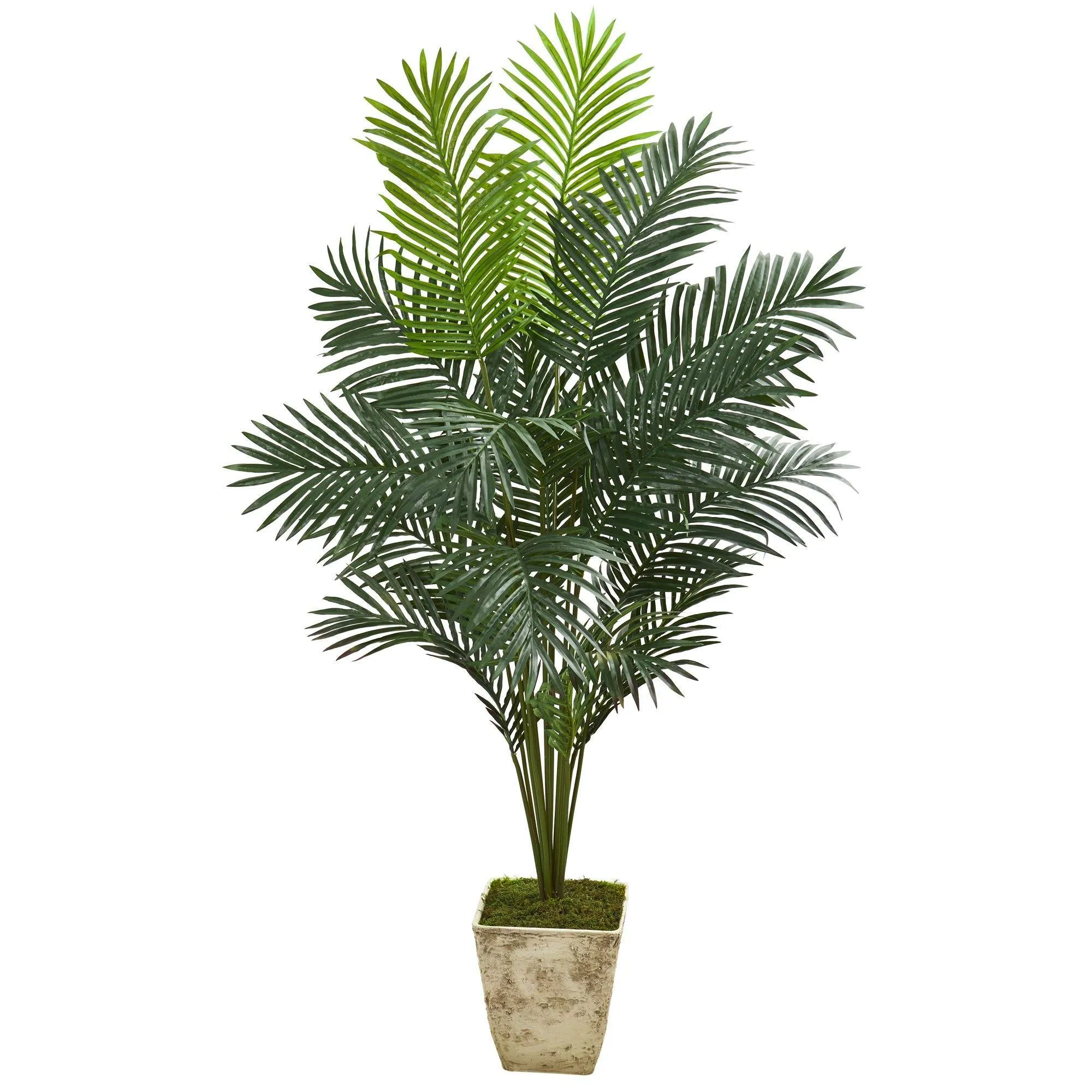 64” Paradise Palm Artificial Plant in Country White Planter