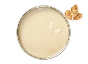 Almond Paste Val Di Noto 3/2.2 Lb