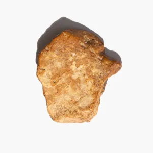 Bird's Head Jasper Specimen