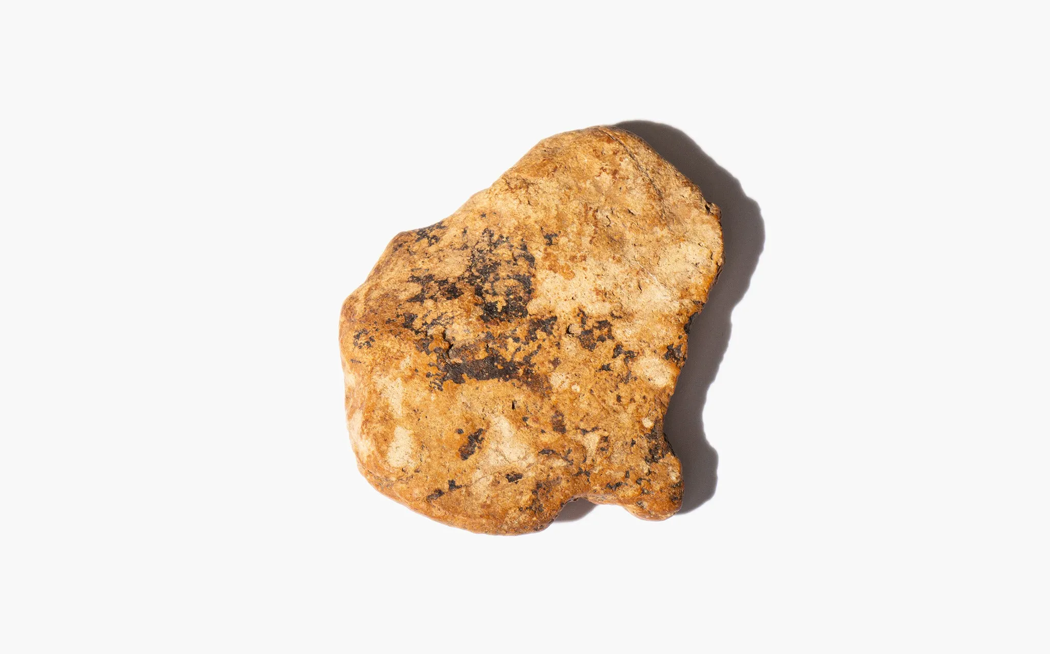 Bird's Head Jasper Specimen