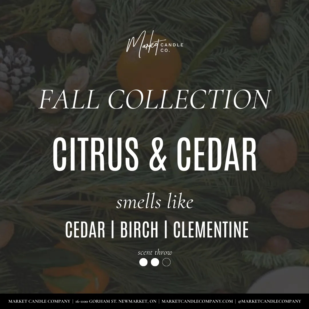 CITRUS & CEDAR SOY CANDLE- WHOLESALE