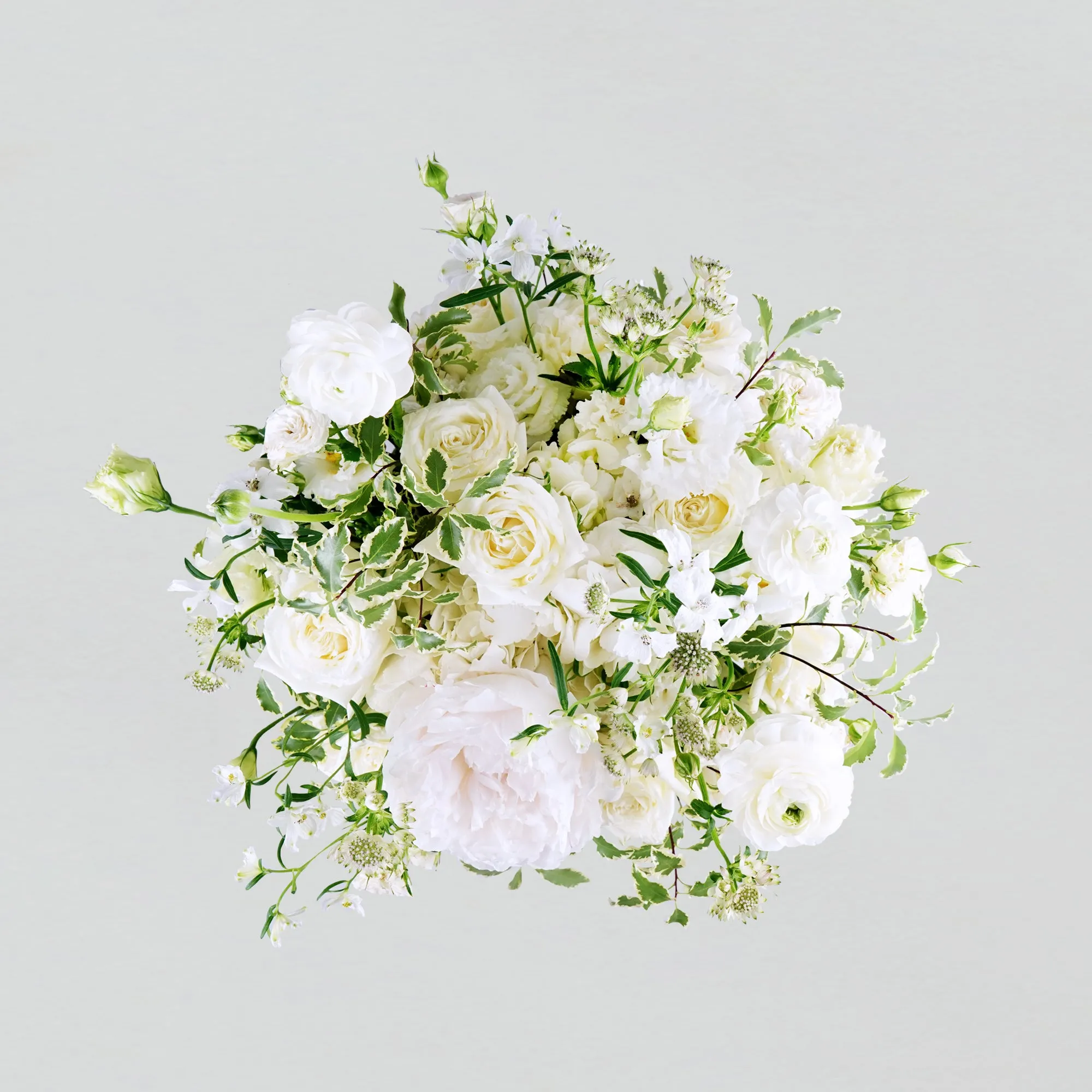 Idealist Bloom Box