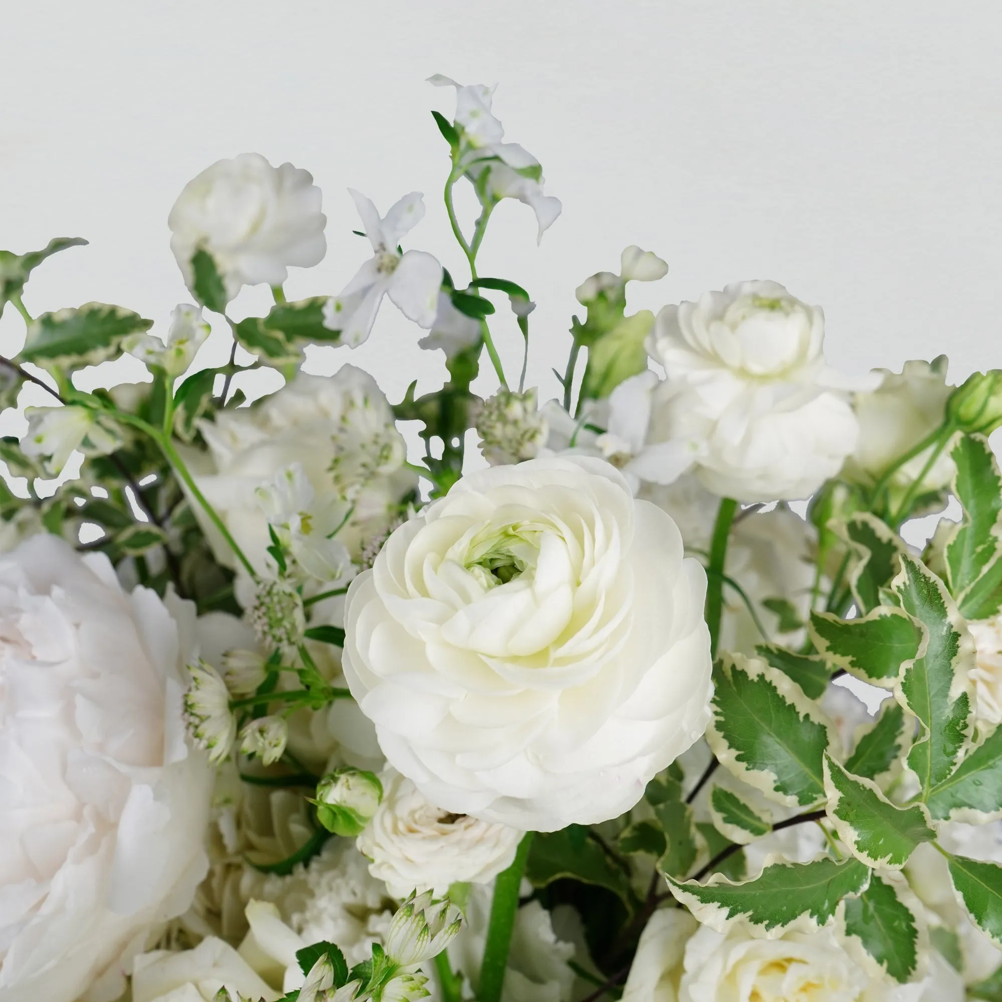 Idealist Bloom Box