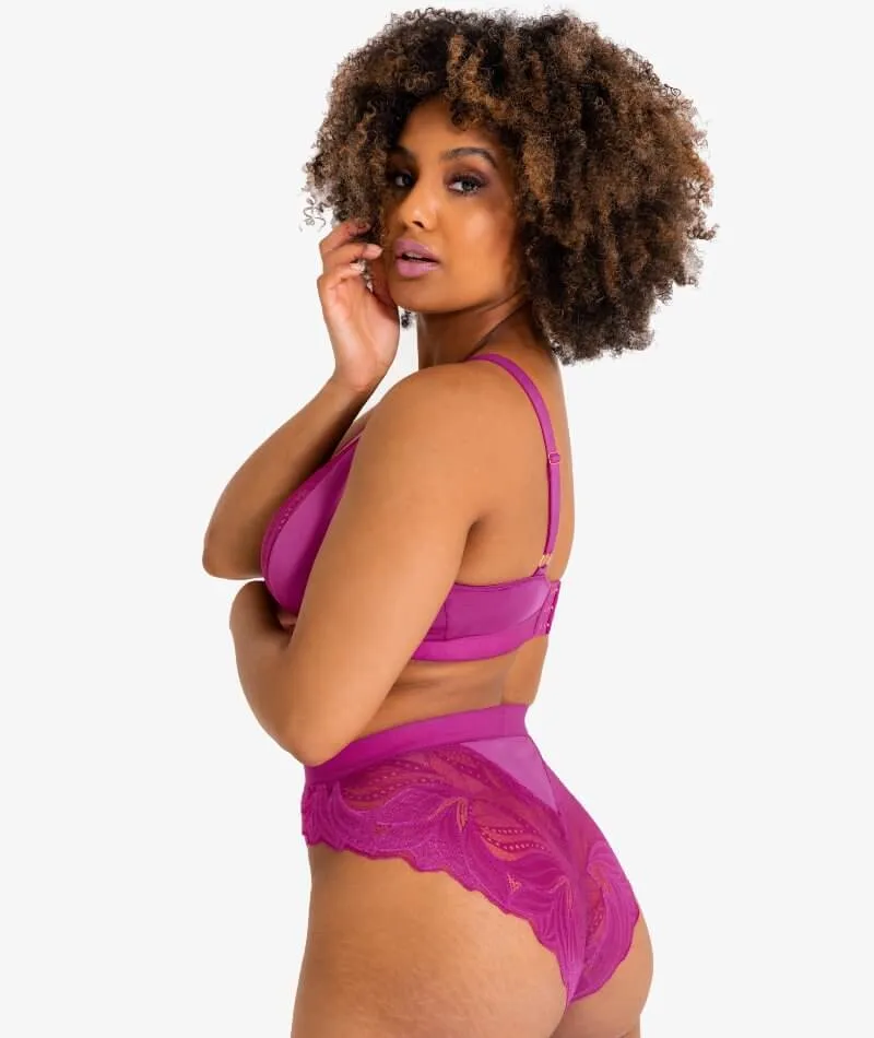 Scantilly Indulgence High Waist Brief - Orchid/Latte