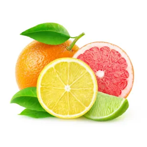 Sunny Citrus